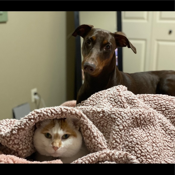 Meet your Posher, Kelly - Picture 7 of 8